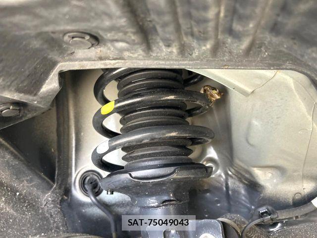 Suzuki HUSTLER 2024-04 8074031-19