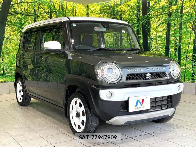 Suzuki HUSTLER 2015-07 8099662-15