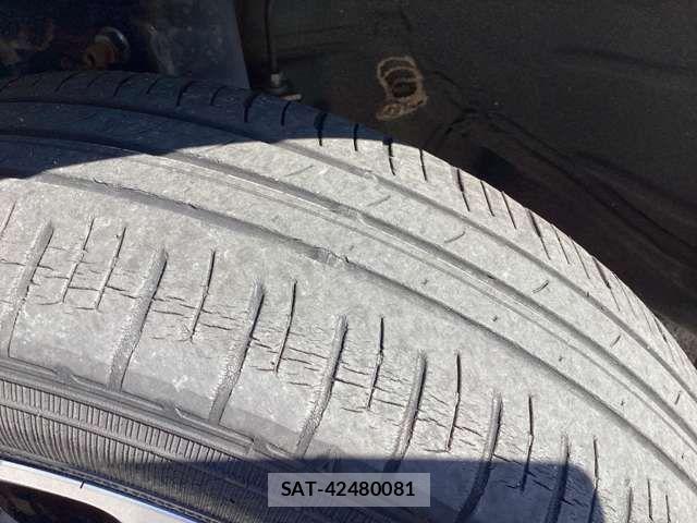 Suzuki HUSTLER 2021-06 8366285-13