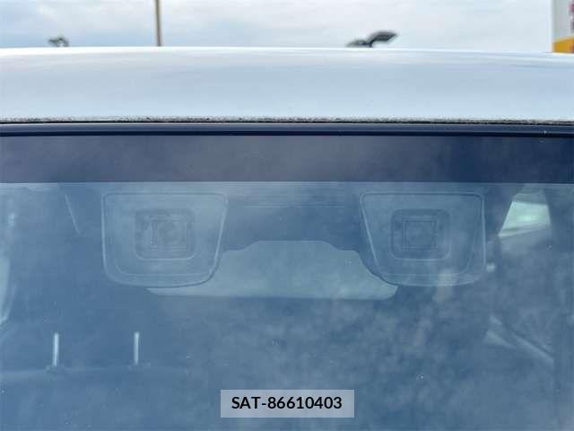 Suzuki HUSTLER 2019-06 8366302-19