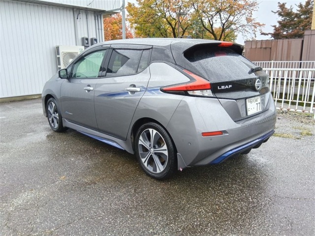 Nissan LEAF 2017 1415950-1