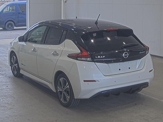 Nissan LEAF 2019 7349238-1