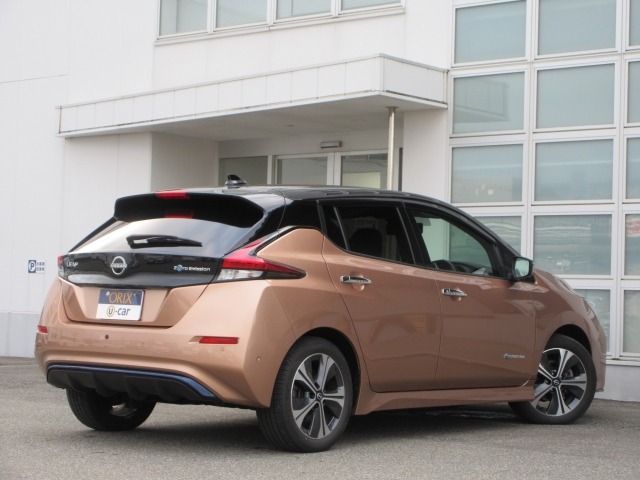 Nissan LEAF 2021 8609914-1