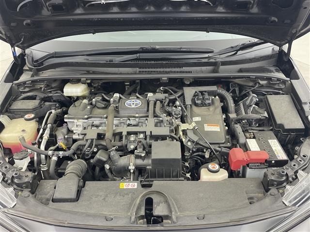 Toyota COROLLA SPORT 2019 6970183-14