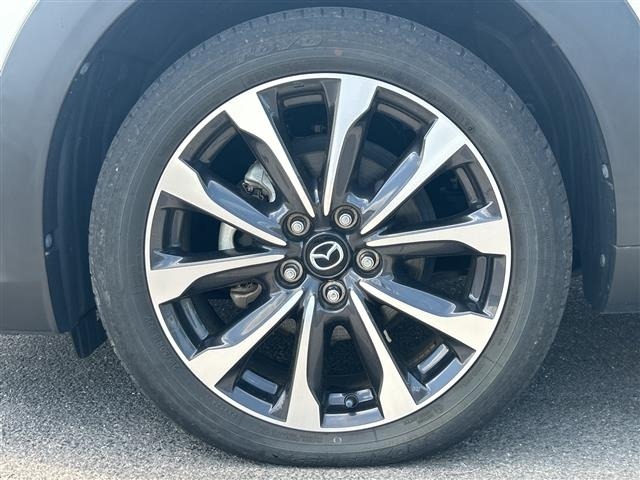 Mazda CX-3 2019 6973214-5
