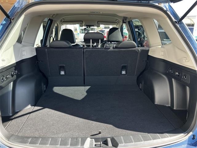 Subaru FORESTER 2021 6971438-10