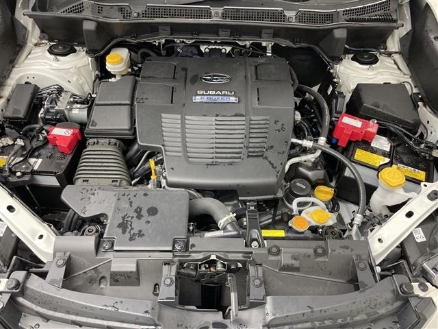 Subaru FORESTER 2023 6971776-19
