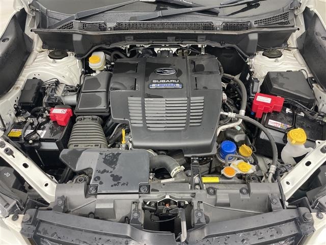 Subaru FORESTER 2020 6971874-19