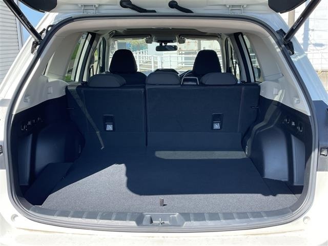 Subaru FORESTER 2019 6971894-6