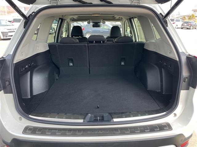 Subaru FORESTER 2020 6971905-8