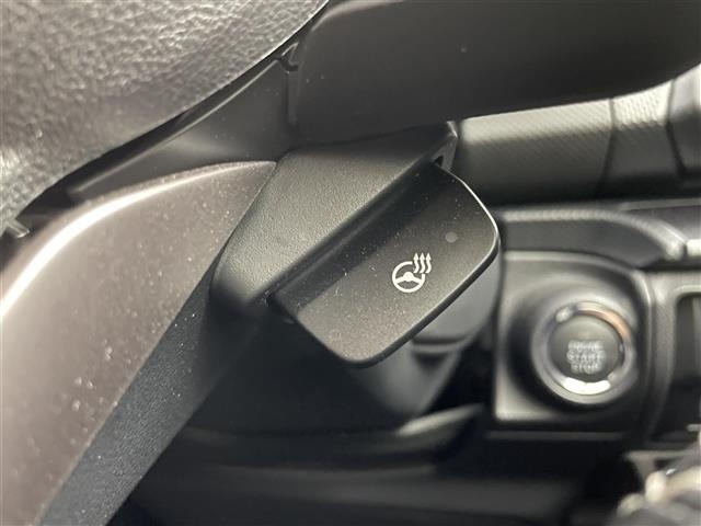 Subaru FORESTER 2024 6971906-10