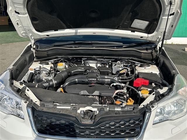 Subaru FORESTER 2013 6972025-14