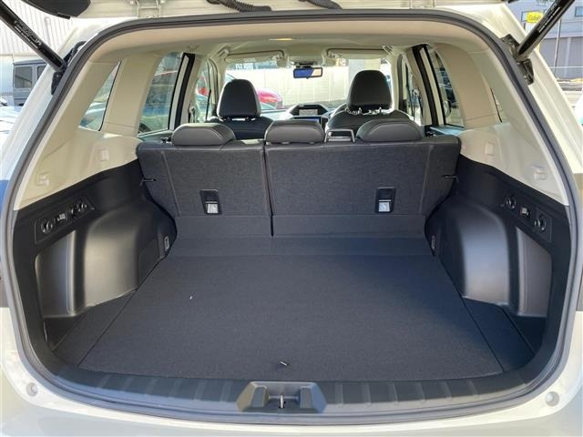 Subaru FORESTER 2019 6972150-9