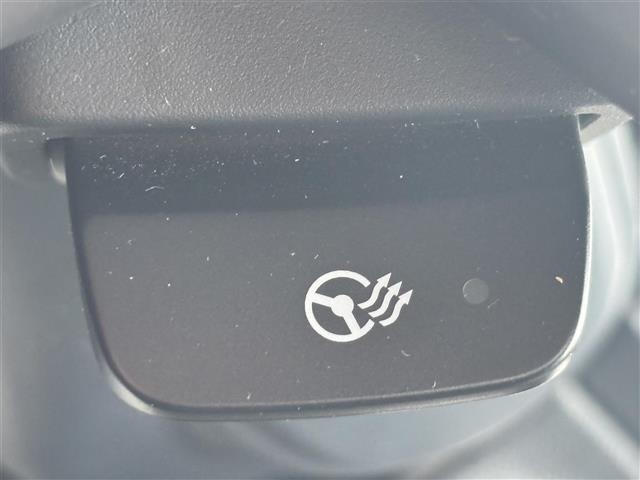 Subaru FORESTER 2019 6972414-16