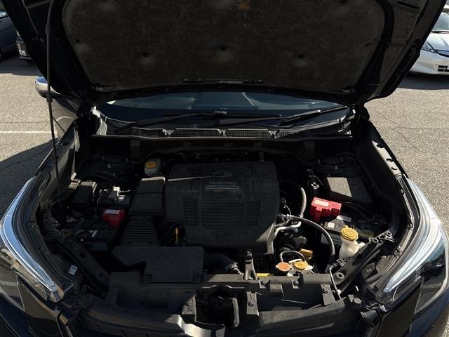 Subaru FORESTER 2022 6972471-19