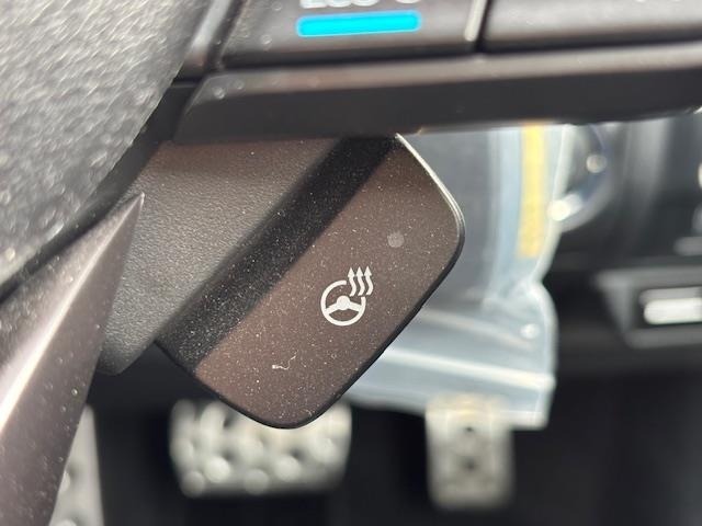 Subaru FORESTER 2019 6972481-5