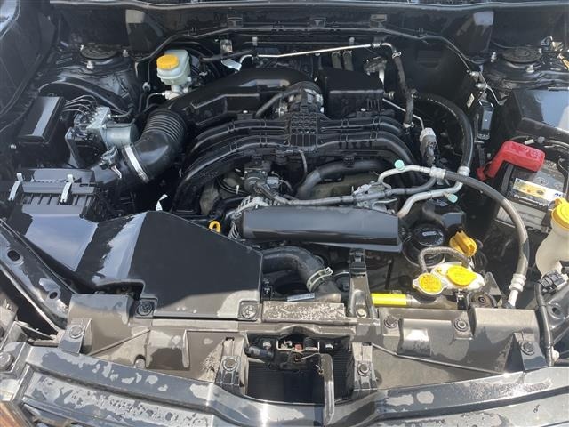 Subaru FORESTER 2020 6972513-14