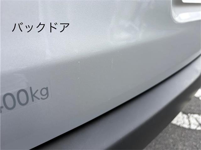 Toyota PROBOX VAN 2021 6968487-13