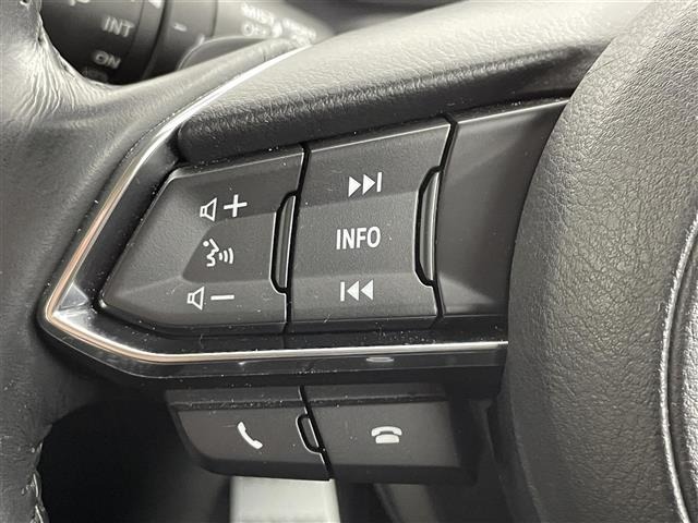 Mazda AXELA 2017 6989948-10