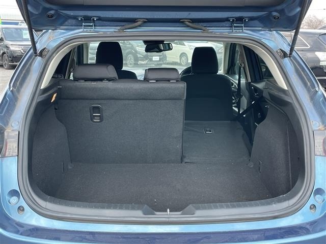 Mazda AXELA 2018 6989977-10