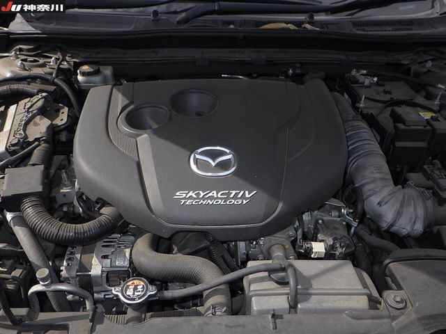 Mazda AXELA 2016 6990151-11