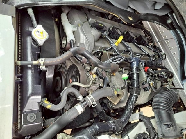 Mazda BONGO TRUCK 2019 6991484-23