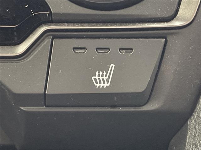 Honda CIVIC 2018 6985629-19