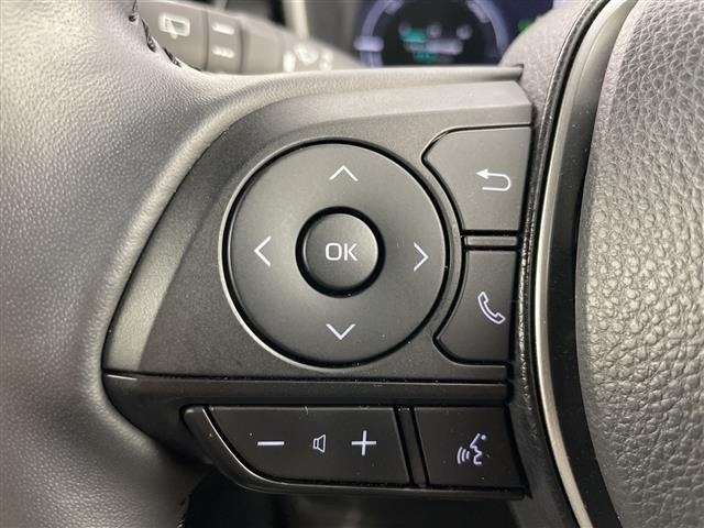 Toyota COROLLA CROSS 2024 6976270-11