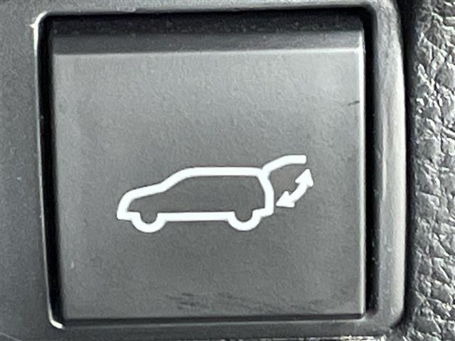 Toyota COROLLA CROSS 2024 6976588-21