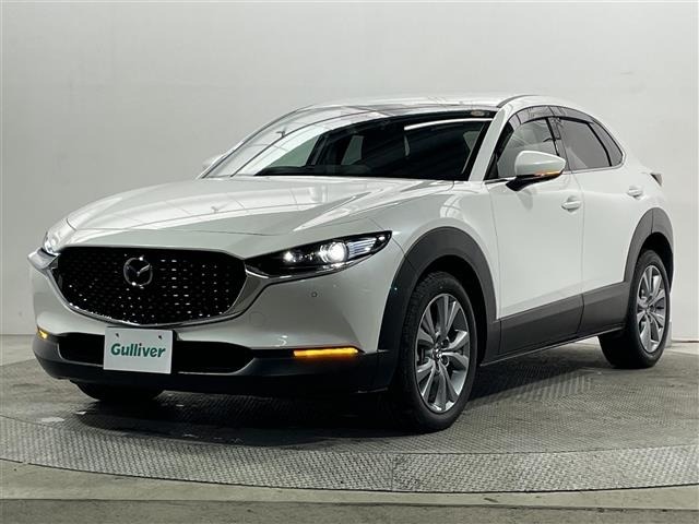 Mazda CX-30 2023 6992389-18