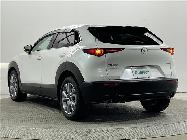 Mazda CX-30 2023 6992389-20