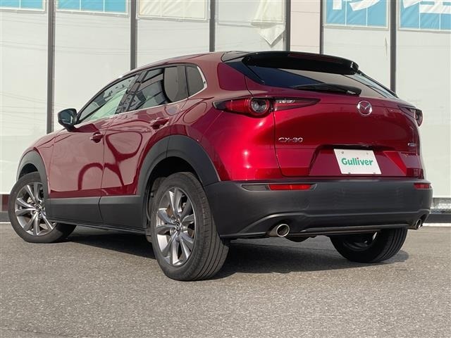 Mazda CX-30 2021 6992451-14