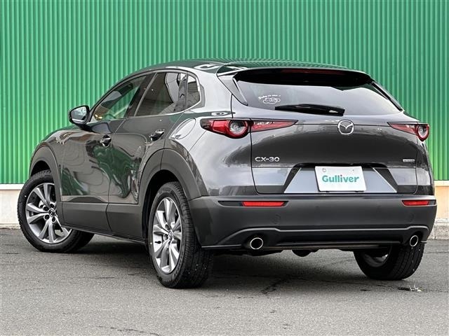 Mazda CX-30 2022 6992456-4