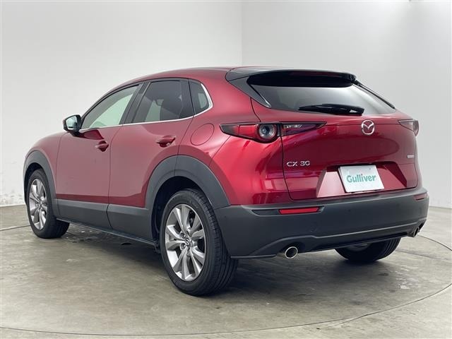 Mazda CX-30 2019 6992542-13