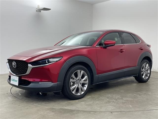 Mazda CX-30 2019 6992542-15