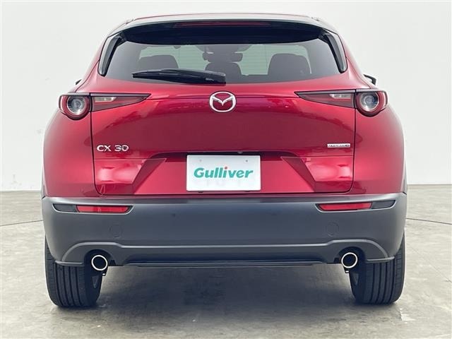 Mazda CX-30 2019 6992542-18