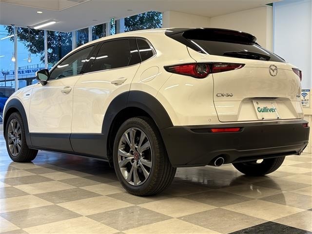 Mazda CX-30 2021 6992556-13