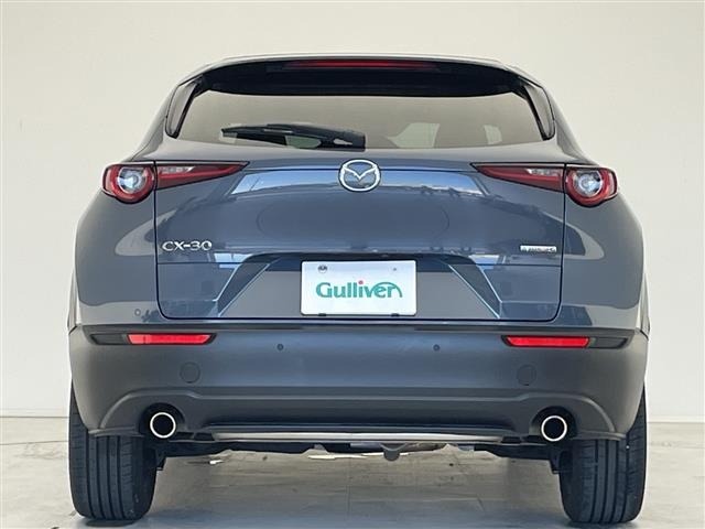 Mazda CX-30 2024 6992580-13