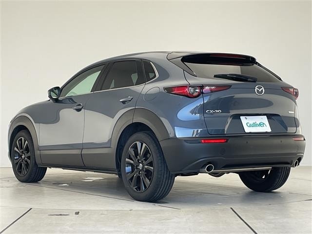 Mazda CX-30 2024 6992580-4