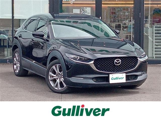 Mazda CX-30 2020 6992612-0