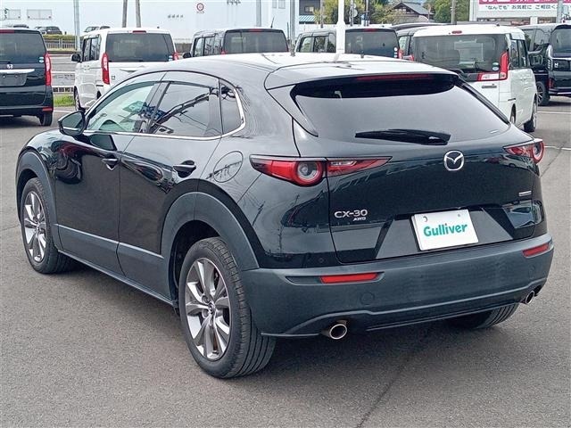 Mazda CX-30 2020 6992612-13