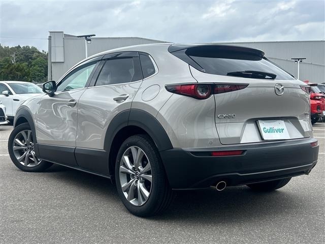 Mazda CX-30 2022 6992613-13
