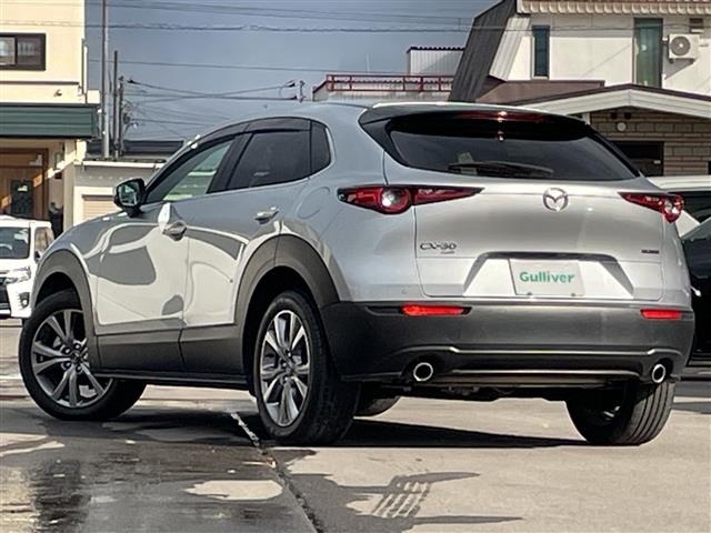 Mazda CX-30 2020 6992625-13