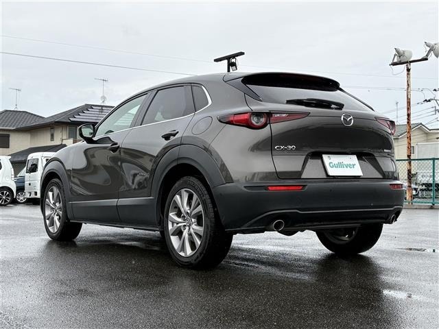 Mazda CX-30 2019 6992634-13