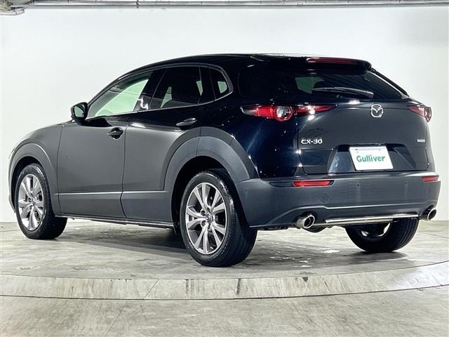 Mazda CX-30 2020 6992660-13