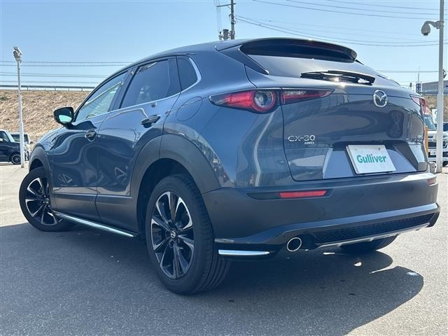 Mazda CX-30 2020 6992680-13