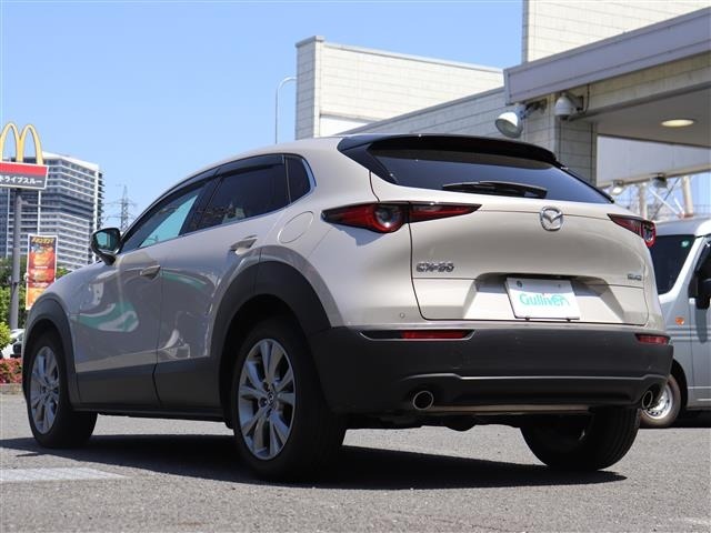 Mazda CX-30 2023 6992746-17