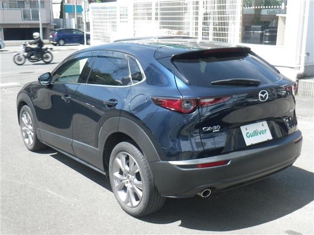 Mazda CX-30 2021 6992760-13