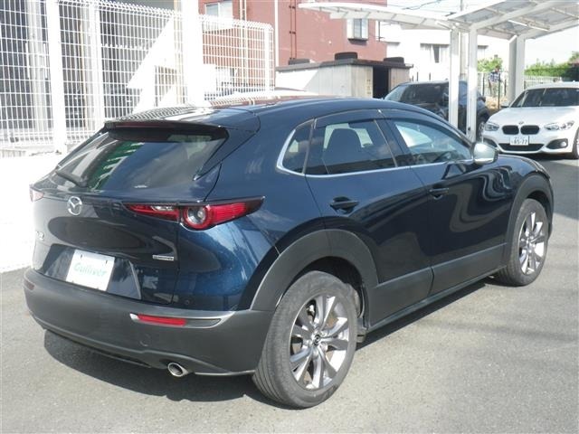 Mazda CX-30 2021 6992760-19