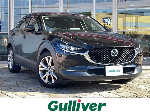 Mazda CX-30 2021 6992771-0